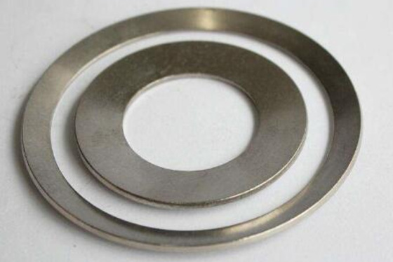 GH4090 Disc Spring
